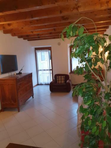 Apartamento Gardainn Cologna