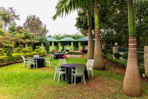 Hotel Olive Green Resort