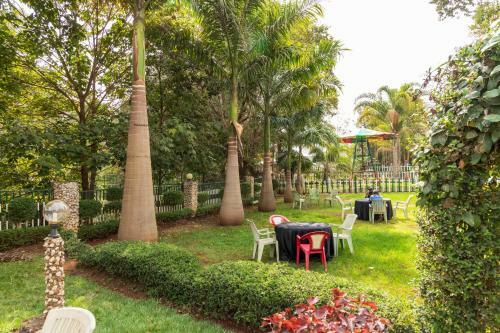 Hotel Olive Green Resort