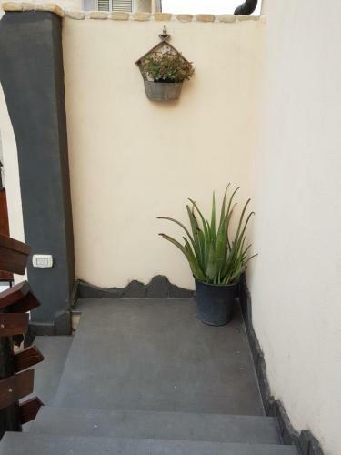 B&B La Fenice