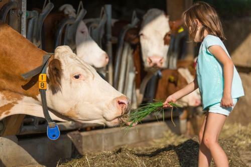 Apartamento Stoffnerhof