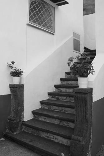 Giardino Del Vesuvio