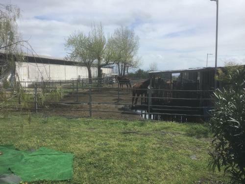 Hotel Tenuta Terradifuoco