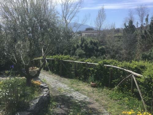 Hotel Tenuta Terradifuoco