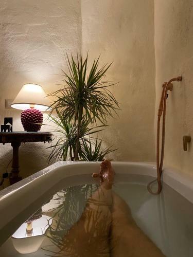 Bed & Breakfast Casa Khalesa