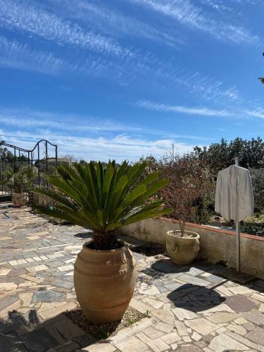 Bed & Breakfast Casa Khalesa