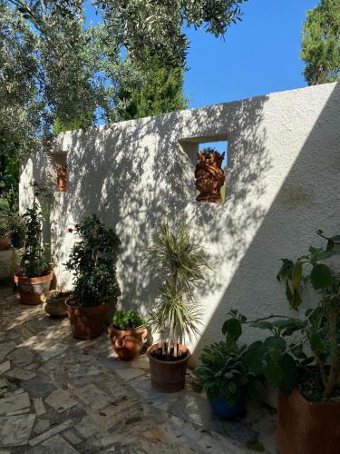 Bed & Breakfast Casa Khalesa
