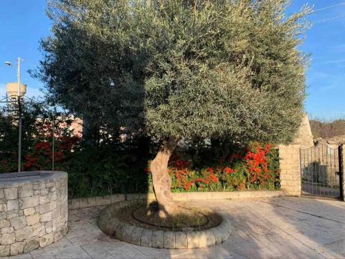 Villa Andrea