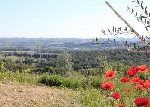 Apartamento Tuscany Life