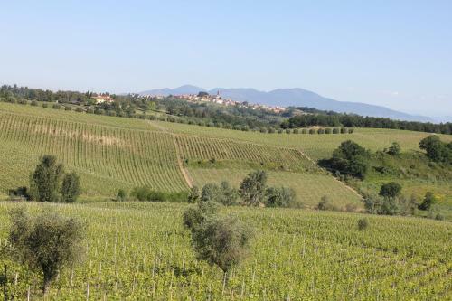 Apartamento Tuscany Life