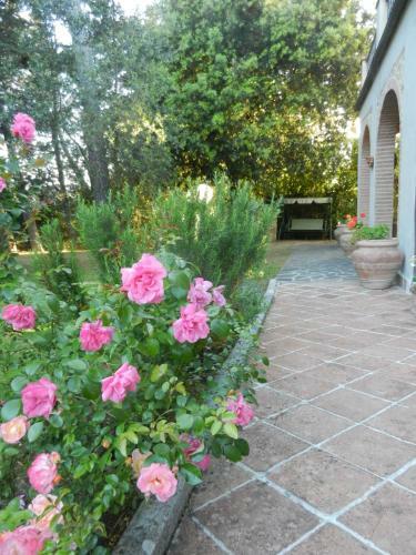 Apartamento Pietramilia