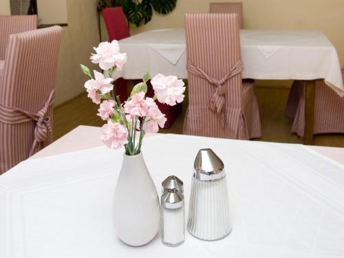 Bed & Breakfast Pension Popotnik