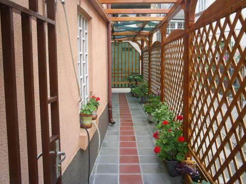 Hostal Guest House Diron