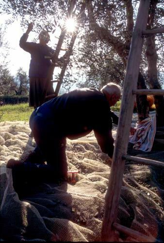 Agroturismo Agriturismo Il Selvino