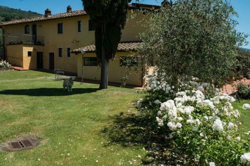 La Casa Delle Rose