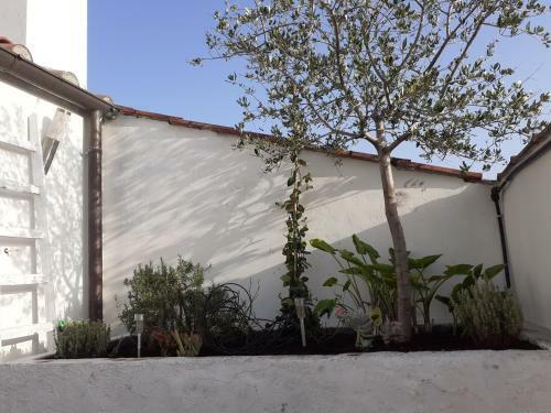 Apartamento Il Nido