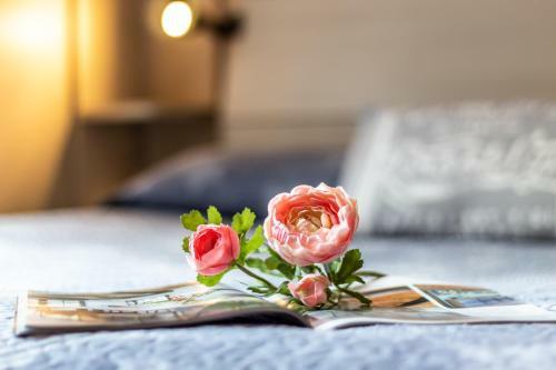 Apartamento La Casa Rosa