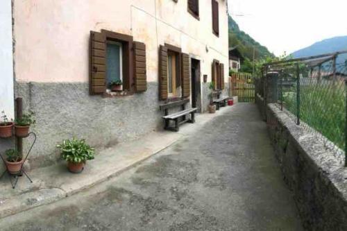 Mity Garden Apartements