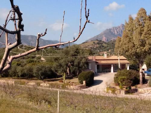 Villa Foxi Murdegu