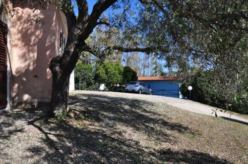 Villa Foxi Murdegu