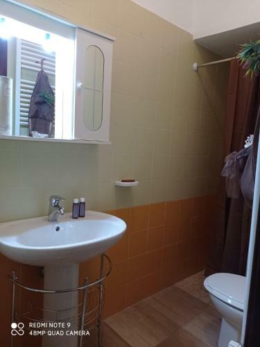 Botte House
