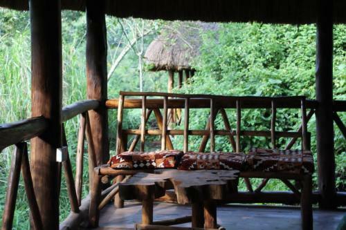 Hotel Jungle Lodge