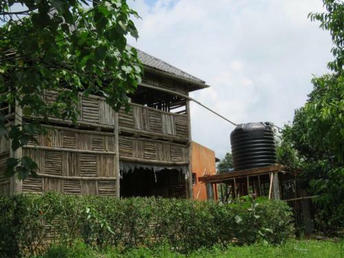 Hotel Jungle Lodge