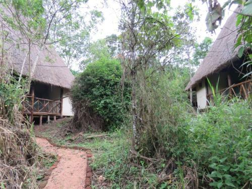 Hotel Jungle Lodge