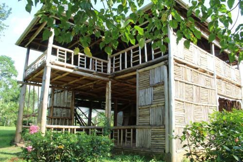 Hotel Jungle Lodge