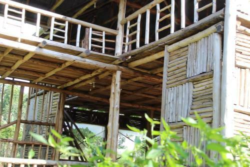 Hotel Jungle Lodge