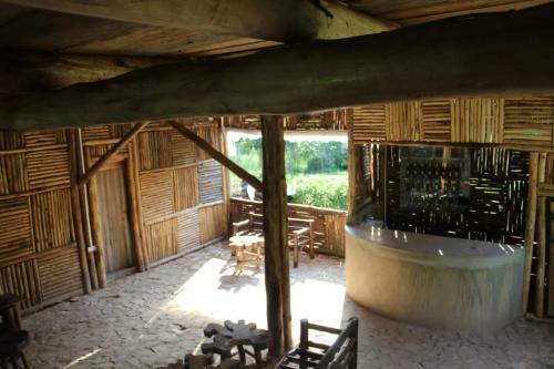Hotel Jungle Lodge