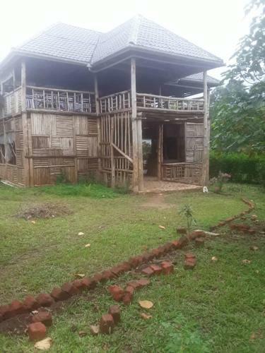 Hotel Jungle Lodge