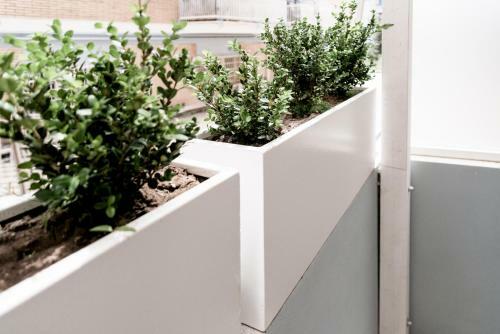 Apartamento Bottasso17 Guest House A Due Passi Dal Mare