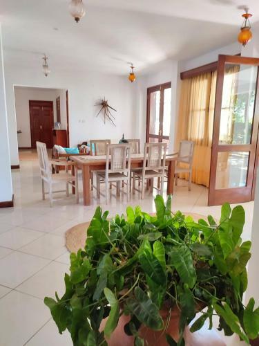 Villa The Beach House