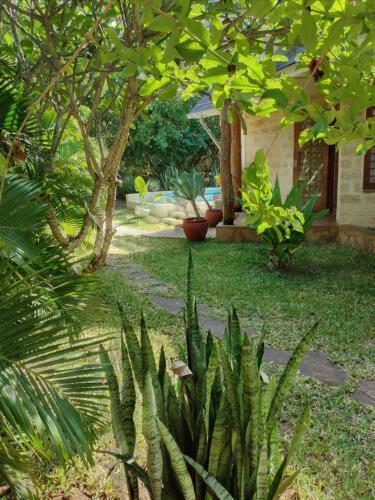 Villa Private Pool Cottage Diani Beach