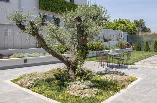 Bed & Breakfast Corte Lissa