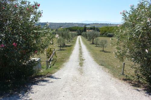 Apartamento Il Gheriglio