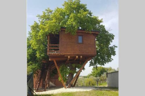 Apartamento Casa Sull'albero Treehouse Costa Dei Trabocchi