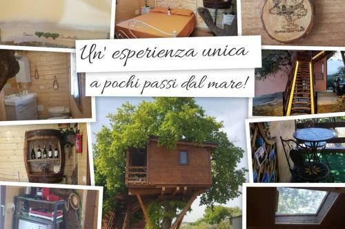 Apartamento Casa Sull'albero Treehouse Costa Dei Trabocchi