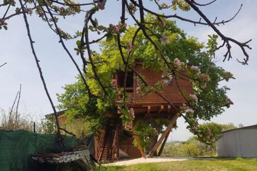 Apartamento Casa Sull'albero Treehouse Costa Dei Trabocchi