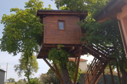 Apartamento Casa Sull'albero Treehouse Costa Dei Trabocchi