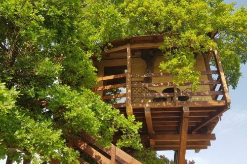 Apartamento Casa Sull'albero Treehouse Costa Dei Trabocchi