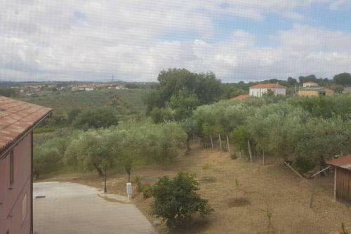 Apartamento Casa Sull'albero Treehouse Costa Dei Trabocchi