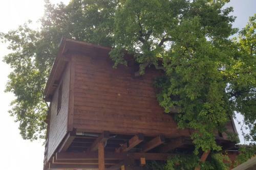 Apartamento Casa Sull'albero Treehouse Costa Dei Trabocchi
