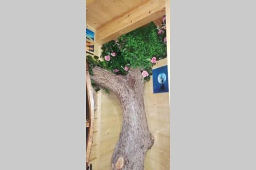 Apartamento Casa Sull'albero Treehouse Costa Dei Trabocchi