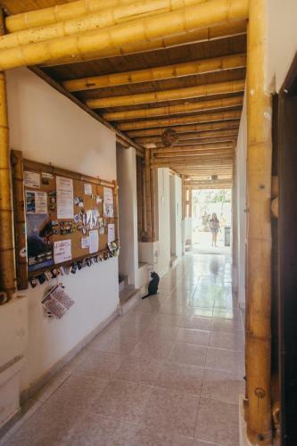 Hostal La Tortuga Hostel