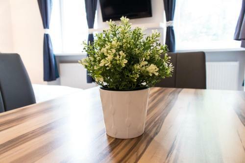 Apartamento Checkvienna ? Enenkelstrasse