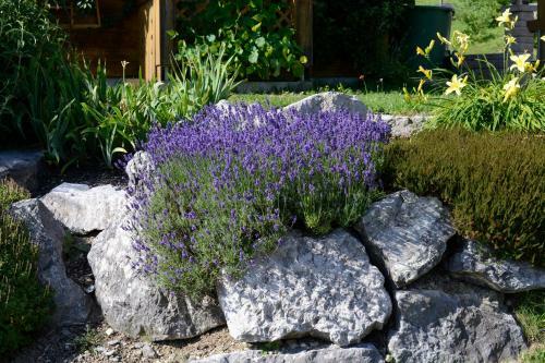 Apartments Haus Am Anger - Romantik-beauty-wellness