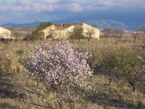 Villa Casa Tej�n