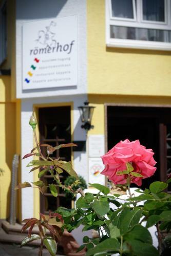 Hotel R�merhof